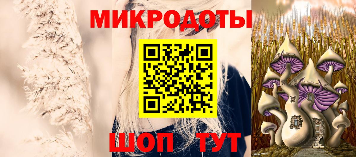 Галлюциногенные грибы Psilocybine cubensis  Вход с VPN  Междуреченск 